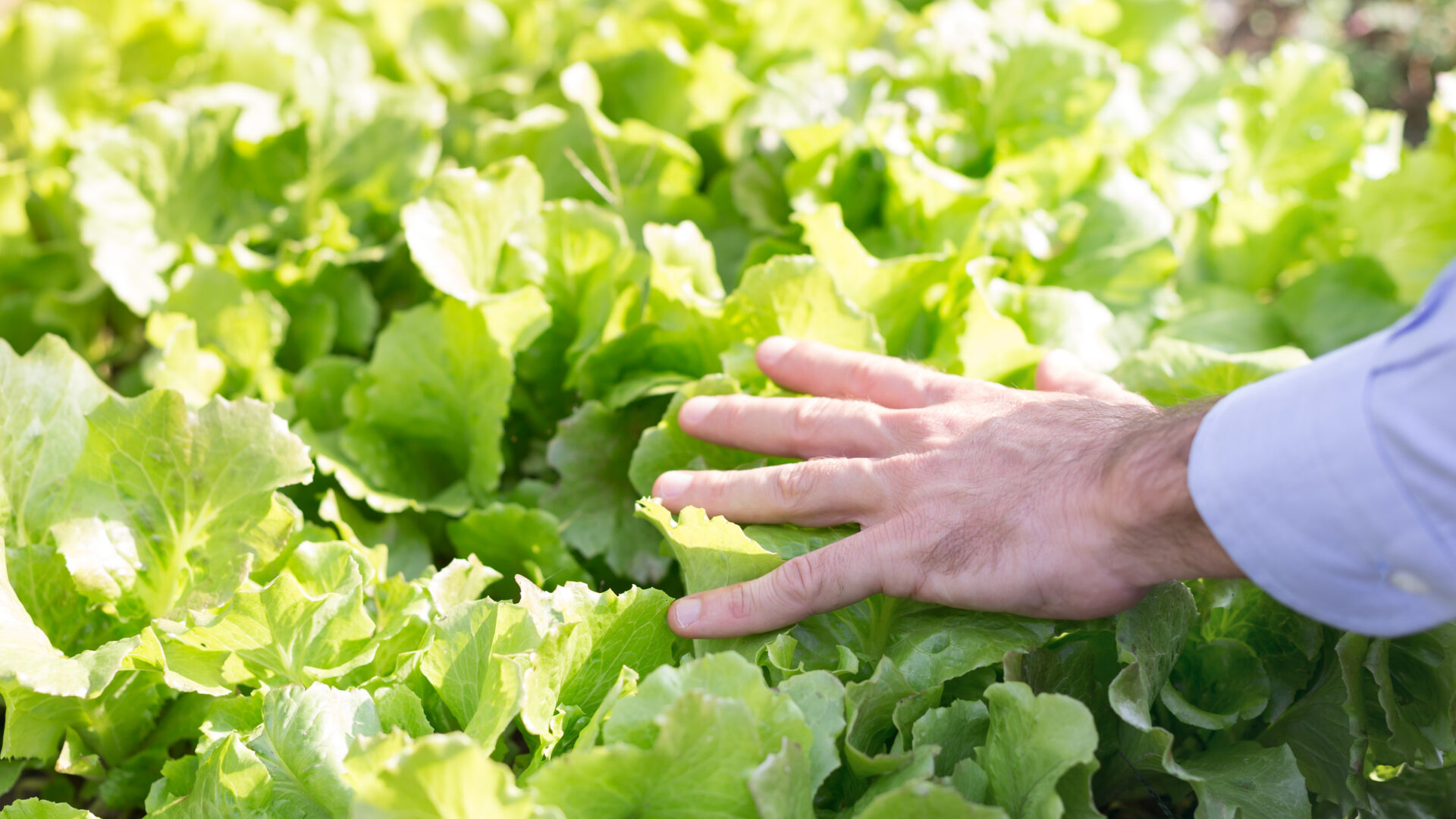 fennel 私たちについて
